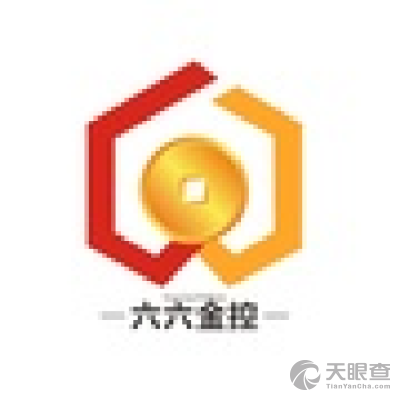 深圳市六六金投資控股 洞見資本力量，賦能產(chǎn)業(yè)未來