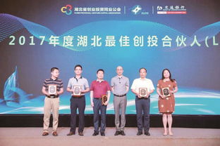 投資改革增引力，資本匯聚強(qiáng)產(chǎn)業(yè)——投資控股的發(fā)展新路徑