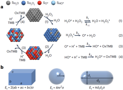 國家納米中心高興發團隊在Nature Protocols發表綜述 納米酶催化活性與動力學測定方法優化
