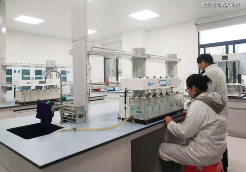 喜訊！真奧研究院新鮮螺旋藻功能性食品成功中試，引領醫學研究與試驗發展新方向